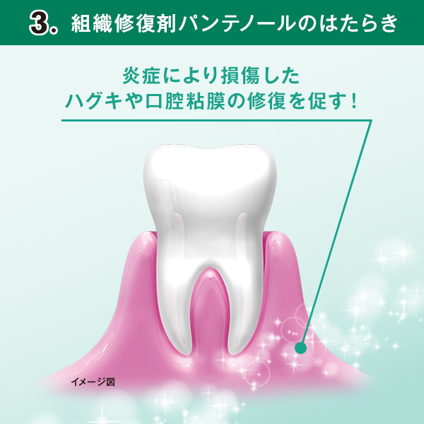 サンスター ガム・メディカルペーストEX【第3類医薬品】