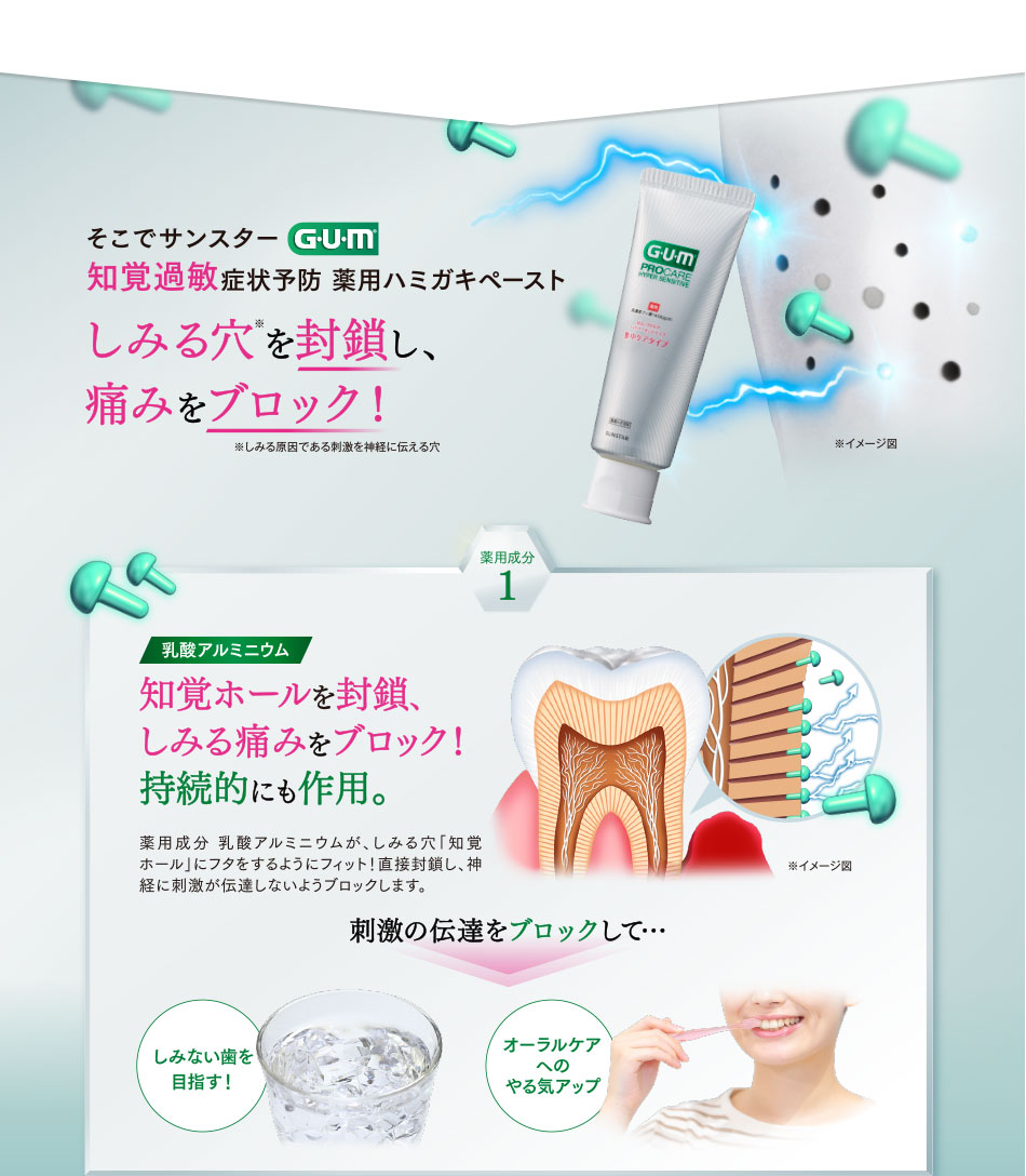 そこでサンスター G・U・m 知覚過敏症状予防 薬用歯磨きペースト しみる穴を封鎖し、痛みをブロック!