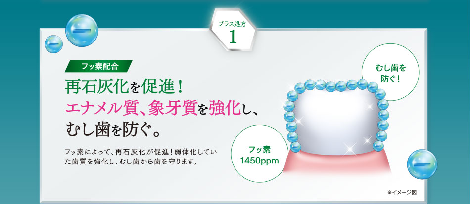 再石灰化を促進! エナメル質、象牙質を強化し、むし歯を防ぐ。