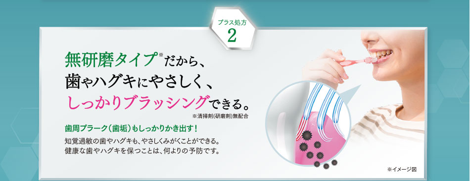 無研磨タイプだから、 歯やハグキにやさしく、 しっかりブラッシングできる。
