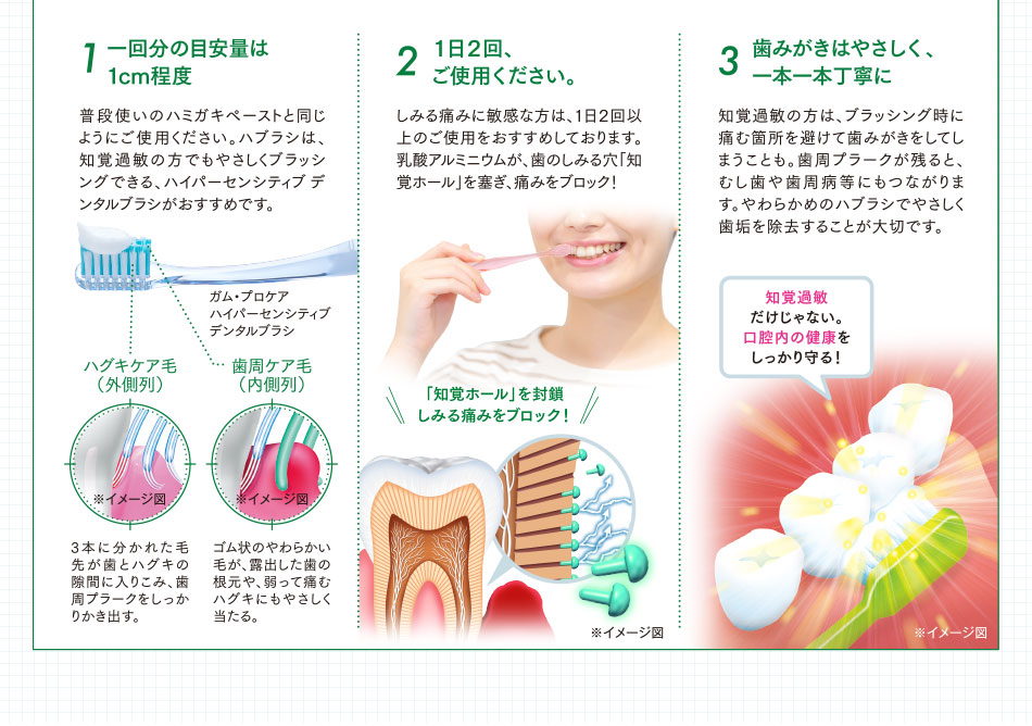 1.一回分の目安量は1cm程度 2.1日2回、ご使用ください。 3.歯みがきはやさしく、一本一本丁寧に