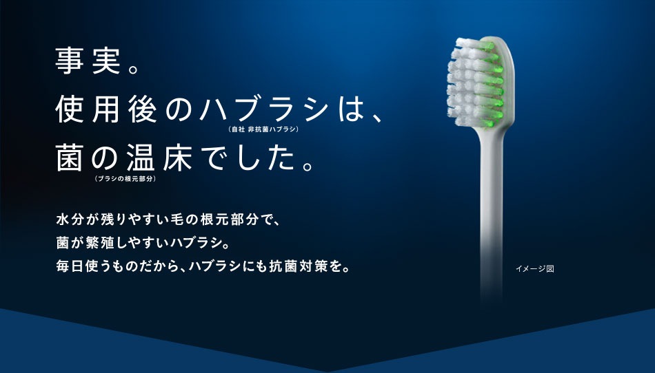 事実。使用後の歯ブラシは、菌の温床でした。