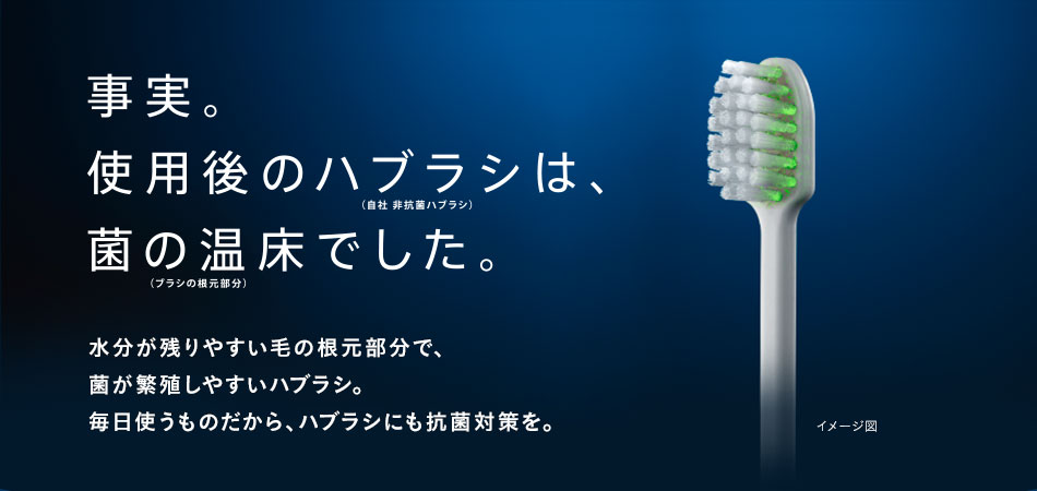 事実。使用後の歯ブラシは、菌の温床でした。