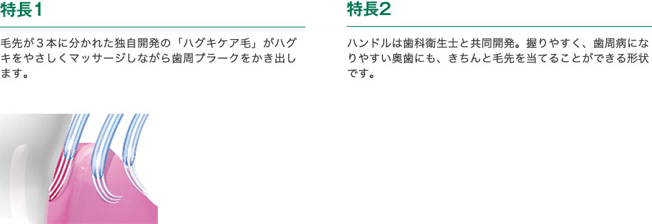 特長1　毛先が３本に分かれた独自開発の「ハグキケア毛」がハグキをやさしくマッサージしながら歯周プラークをかき出します。　特長2　ハンドルは歯科衛生士と共同開発。握りやすく、歯周病になりやすい奥歯にも、きちんと毛先を当てることができる形状です。