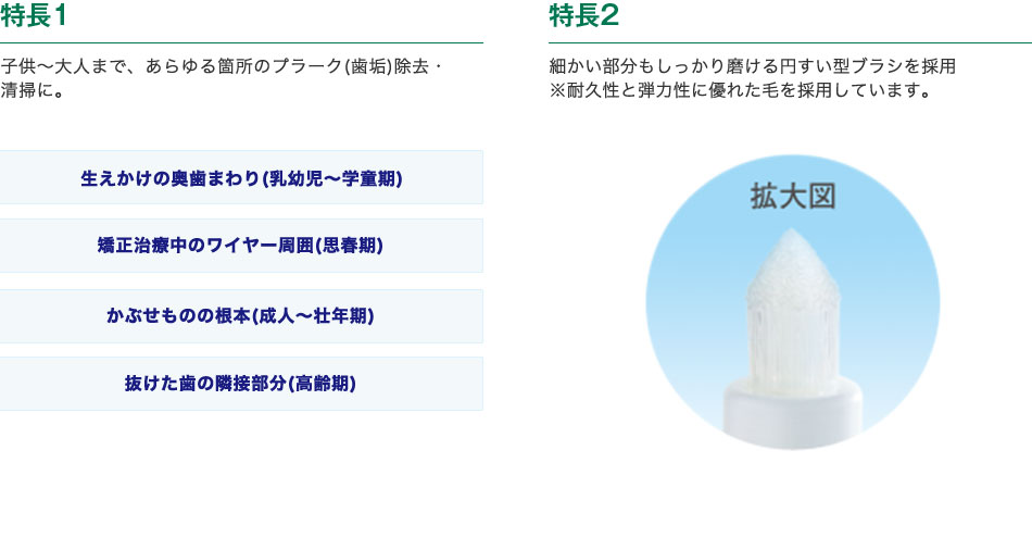 特長1　子供～大人まで、あらゆる箇所のプラーク(歯垢)除去・清掃に。特長2　細かい部分もしっかり磨ける円すい型ブラシを採用※耐久性と弾力性に優れた毛を採用しています。