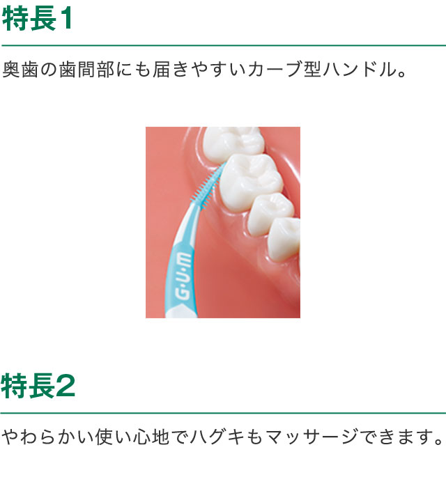 特長1　奥歯の歯間部にも届きやすいカーブ型ハンドル。　特長2　やわらかい使い心地でハグキもマッサージできます。