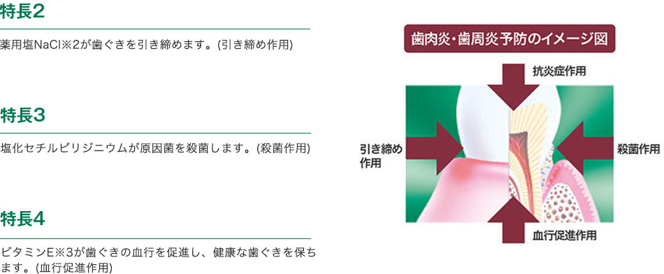 特長2 薬用塩NaCI※2が歯ぐきを引き締めます。(引き締め作用)／特長3 塩化セチルピリジニウムが原因菌を殺菌します。(殺菌作用)／特長4 ビタミンE※3が歯ぐきの血行を促進し、健康な歯ぐきを保ちます。(血行促進作用)／