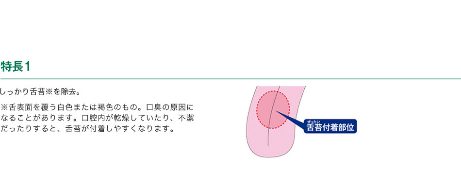 特長1 しっかり舌苔※を除去。