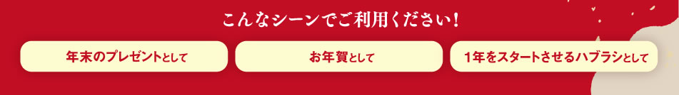 こんなシーンでご利用ください！年末のプレゼントとして お年賀として 1年をスタートさせるハブラシとして
