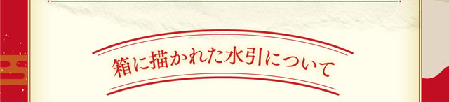 箱に描かれた水引について