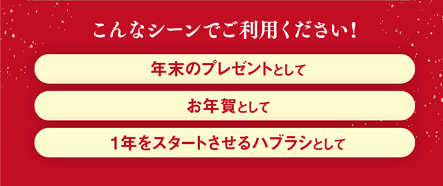 こんなシーンでご利用ください！年末のプレゼントとして お年賀として 1年をスタートさせるハブラシとして
