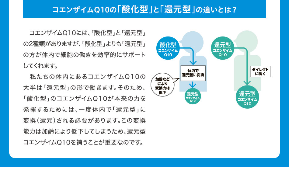 コエンザイムQ10の「酸化型」と「還元型」の違いとは？