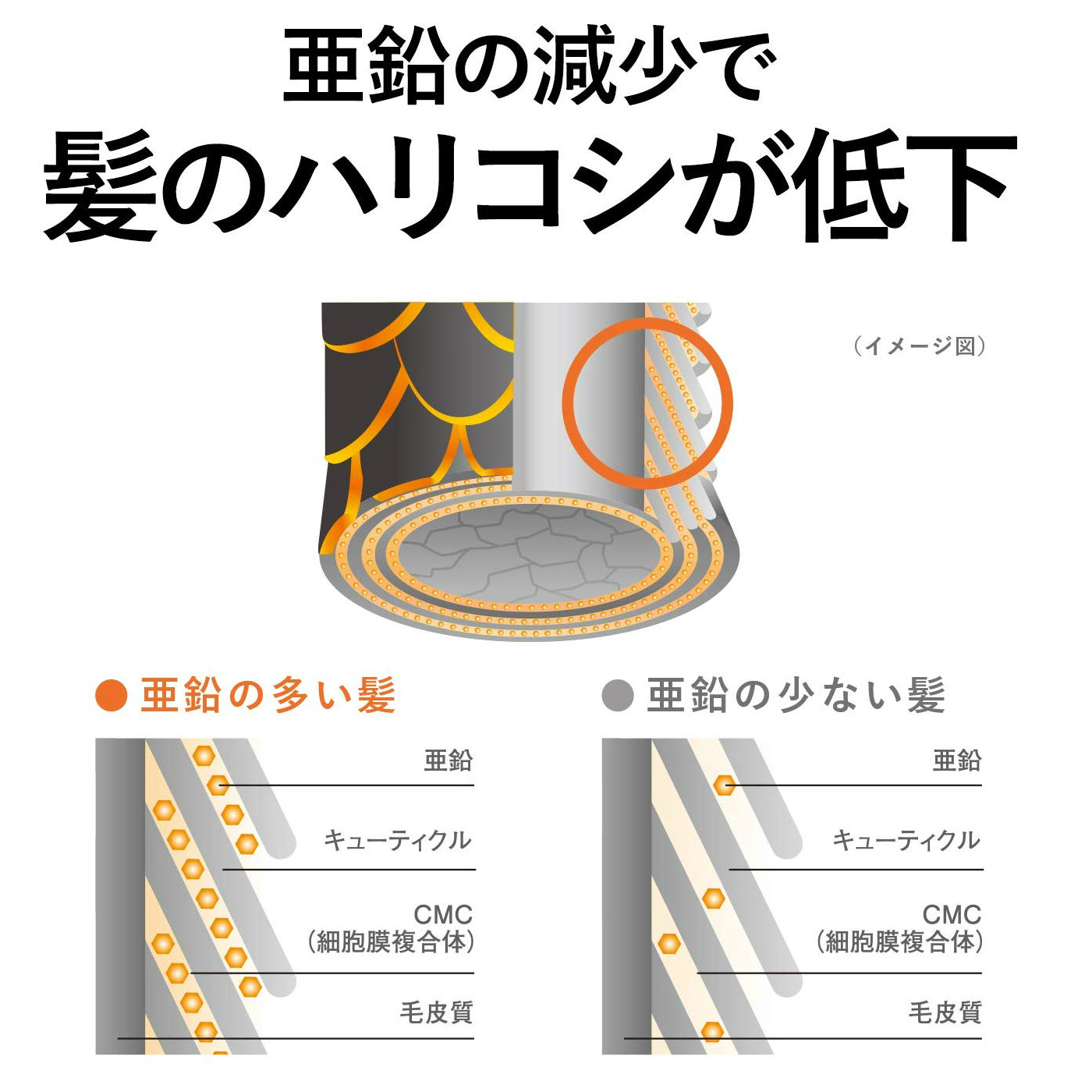 MAGMAS(マグマス)亜鉛導入シャンプー 詰替え用320ml