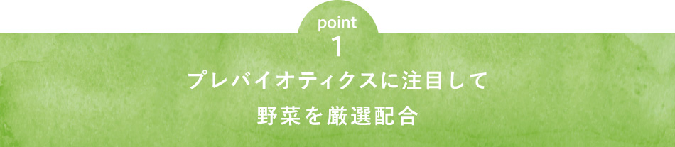 point1 プレバイオティクスに注目して野菜を厳選配合