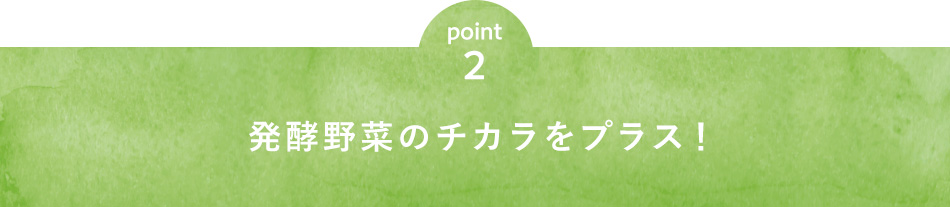 point2 発酵野菜のチカラをプラス！