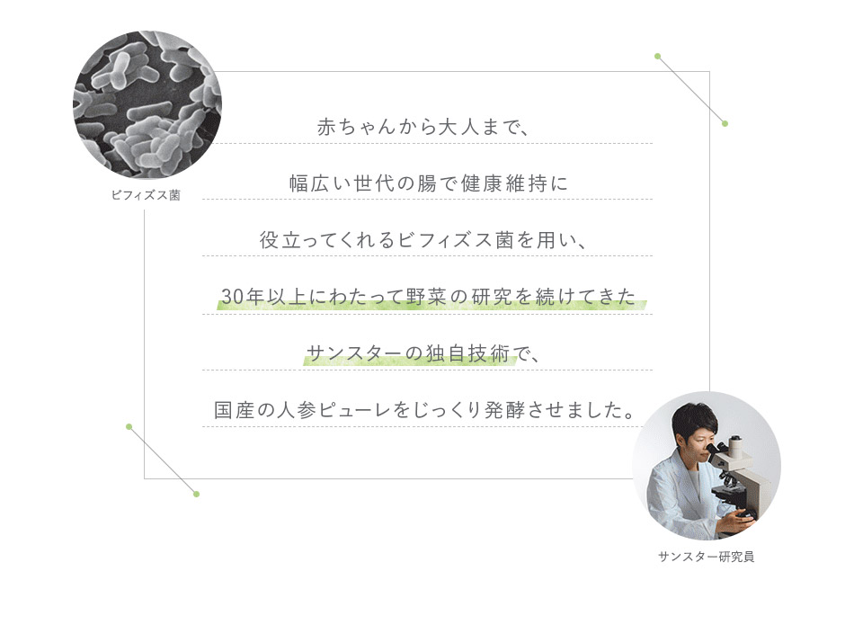 赤ちゃんから大人まで、幅広い世代の腸で健康維持に役立ってくれるビフィズス菌を用い、30年以上にわたって野菜の研究を続けてきたサンスターの独自技術で、国産の人参ピューレをじっくり発酵させました。