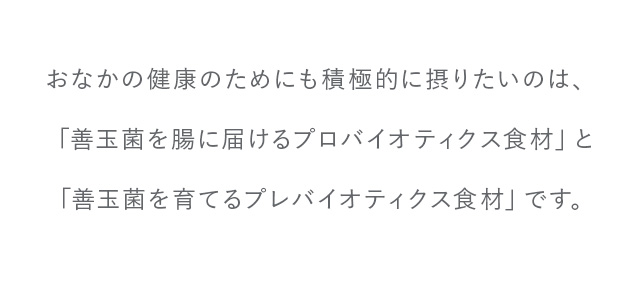 おなかの健康のためにも積極的に摂りたいのは、「善玉菌を腸に届けるプロバイオティクス食材」と「善玉菌を育てるプレバイオティクス食材」です。