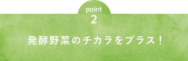 point2 発酵野菜のチカラをプラス！