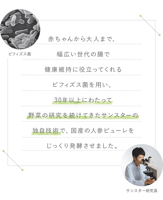 赤ちゃんから大人まで、幅広い世代の腸で健康維持に役立ってくれるビフィズス菌を用い、30年以上にわたって野菜の研究を続けてきたサンスターの独自技術で、国産の人参ピューレをじっくり発酵させました。